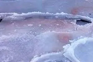 اكتشاف سبب ظاهرة "الثلج الدموي" في بريموريه
