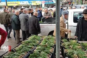 تستخدم للطهي والعلاج... الأعشاب الربيعية تملأ سوق شيلادزي في دهوك (صور)