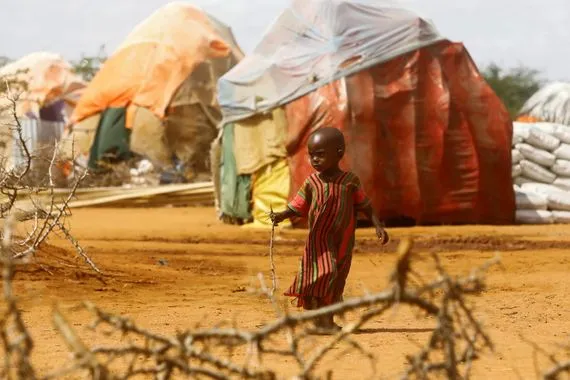 الجفاف يضرب دول الجنوب الأفريقي ويهدد 20 مليون شخص بالجوع