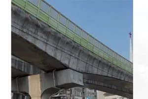الجسور تتمايل كأنها أشجار.. زلزال هو الأقوى منذ 25 عامًا يضرب تايوان (فيديو)