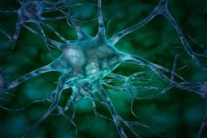 علماء يكتشفون خلايا زومبي عصبية