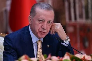 محلل : اردوغان الحق الضرر بالعراق