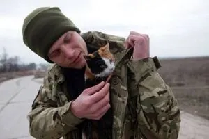 القطط تساند الجيش الأوكراني ضد روسيا.. من أين جاءت الفكرة؟
