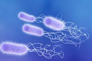 فيروسات جديدة من صنع البشر لقتل البكتيريا المقاومة للمضادات الحيوية
