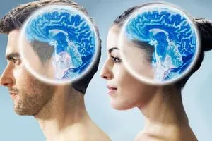 باحثون: الذكاء الاصطناعي يُميز اختلافات الدماغ بين النساء والرجال