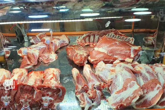 عجول أستراليا والبرازيل لم تحلّها.. أسعار اللحوم لم تنخفض رغم وعود الحكومة العراقية