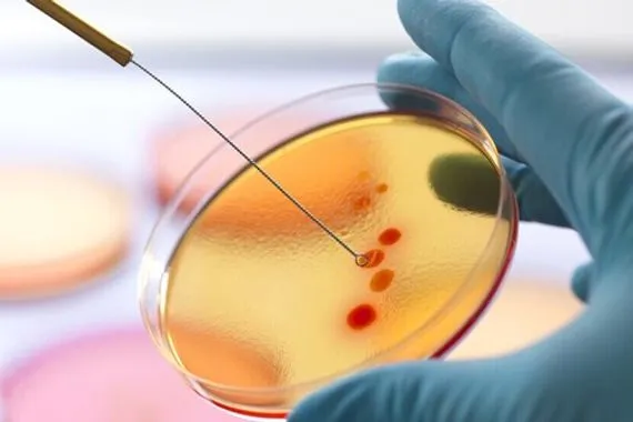 ابتكار مضاد حيوي لعلاج العدوى المقاومة