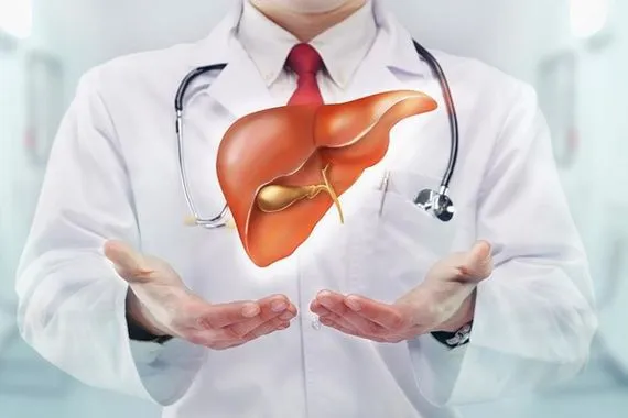 تحذيرات صحية من الكبد الدهني ومسبباته