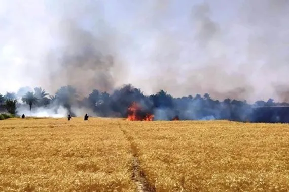 حريق يلتهم مزرعة حنطة غربي كركوك