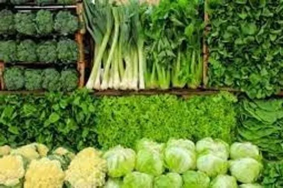 8 خضراوات غنية بالبروتين تعزز نمو وبناء العضلات
