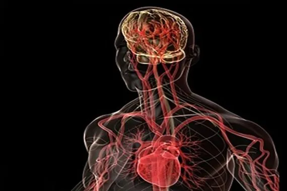 دراسة تحدد مؤشرات الاختبار الذاتي للوقاية من احتشاء عضلة القلب