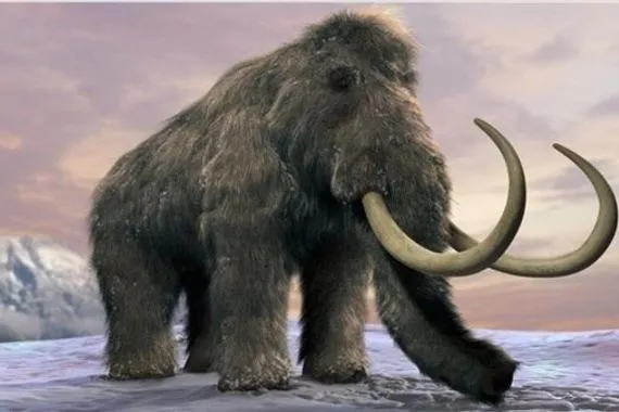علماء يتوصلون لسبب انقراض الحيوانات الضخمة قبل 50 ألف سنة