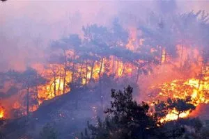 على خط الصراع بين حزب العمال الكردستاني والجيش التركي.. نيران تلتهم آلاف الدونمات في شمال العراق