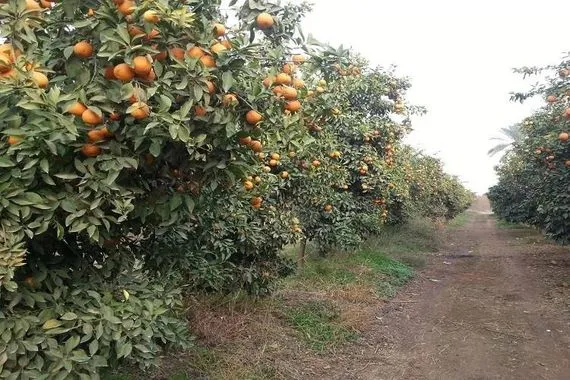 مناطق الموت أماكن سياحية في ديالى تشكو من الإهمال