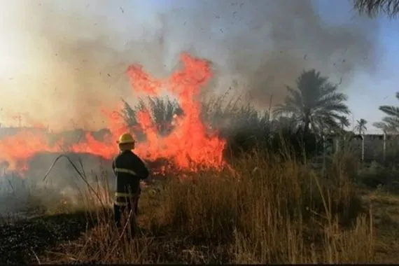 الحشد الشعبي يسيطر على حريق ألتهم عدد من البساتين جنوب بغداد