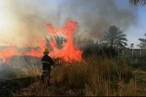 الحشد الشعبي يسيطر على حريق ألتهم عدد من البساتين جنوب بغداد