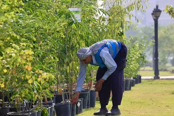 في عموم العراق.. حملة تشجير غير مسبوقة تدخل حيز التنفيذ