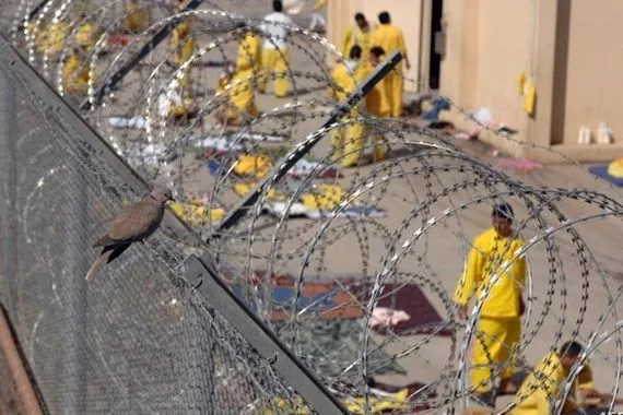 اكتسبوا حكما قطعيا.. نائب: نحو 7 آلاف إرهابي لم ينفذ الإعدام بحقهم