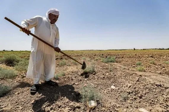 التميمي: المياه الجوفية تسقي أكثر من 3 ملايين دونم في العراق
