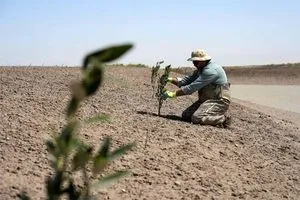 الزراعة النيابية: 16 منطقة ستواجه أزمة مياه في ذروة الصيف المقبل