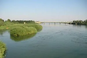 زيادة فورية في الإطلاقات المائية لإنقاذ زراعة ديالى مع اقتراب الحصاد