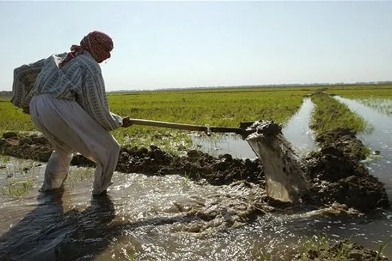 التميمي: اعتماد التقنيات الحديثة في السقي سيقلّص استهلاك المياه بنسبة 50%