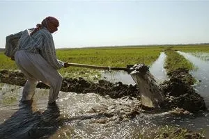 التميمي: اعتماد التقنيات الحديثة في السقي سيقلّص استهلاك المياه بنسبة 50%