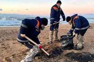 ابتكار مادة حيوية ماصة لإزالة البقع النفطية