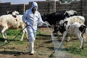 إصابتان بالحمى النزفية تثيران القلق في كركوك