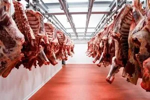 الزراعة النيابية: 50% من أمراض الثروة الحيوانية سببها الاستيراد من الخارج دون فحوصات دقيقة