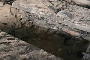 مجهولون ينبشون قبر حافظ الأسد في القرداحة وينقلون رفاته إلى جهة مجهولة