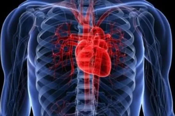 موجودة في علب الطعم.. مادة مسؤولة عن أمراض القلب وقتل الآلاف من الأشخاص