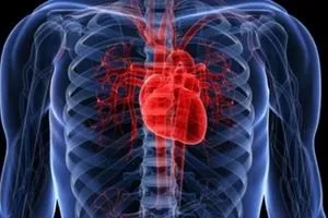 موجودة في علب الطعم.. مادة مسؤولة عن أمراض القلب وقتل الآلاف من الأشخاص