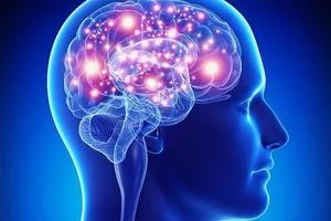 ليس الجزء "الذكي" ..علماء يستكشفون المنطقة المسؤولة عن الوعي في الدماغ