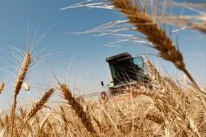 انطلاق موسم حصاد الحنطة والشعير في 9 محافظات