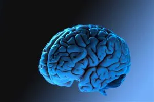 دراسة تكشف.. هذا ما يحدث لدماغك أثناء الصيام