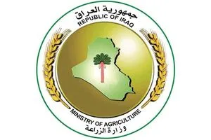 الزراعة: العراق يصدر محاصيله لدول الخليج وأوروبا ويسعى لفتح أسواق جديدة
