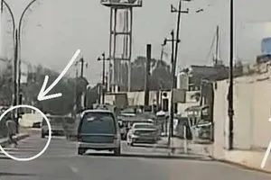 بعد حادثة هروب في الحلة..الدفاع النيابية تكشف استراتيجية شاملة لحماية السجون العراقية