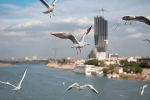 الأنواء الجوية: طقس صحو وارتفاع تدريجي في درجات الحرارة خلال الأيام المقبلة