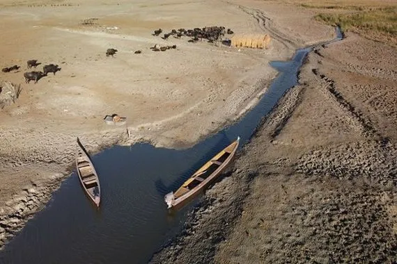 جنوب العراق تحت رحمة الجفاف نائب يدعو لإنشاء صندوق طوارئ لتعويض المزارعين والثروة الحيوانية