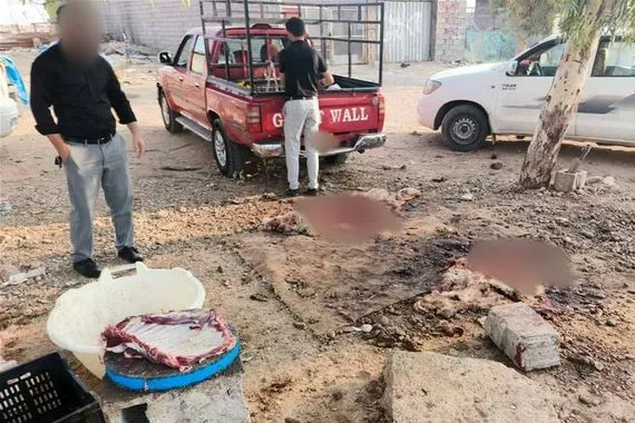 اعتقال 10 أشخاص بسبب ذبح الأضاحي في أربيل