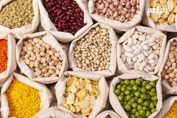 العراق في المرتبة الاولى باستيراد الحبوب والبقول والبذور من تركيا