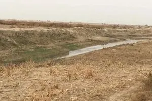 أنهار الجنوب تواجه خطر الجفاف وموجة عطش تهدد بانفجار شعبي