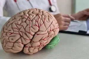 اطباء يحددون ثلاثة محاور لعلاج الرجفان المهدد بالسكتة الدماغية