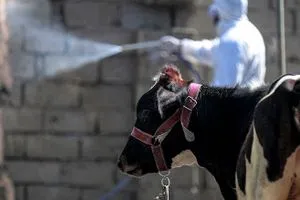 الصحة تنفي تسجيل 5 إصابات بالحمى النزفية في بغداد