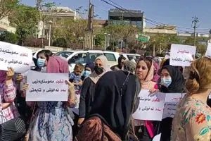 موظفو دوائر الماء والبلديات وجامعة السليمانية يضربون عن العمل وكالة بغداد اليوم الاخبارية