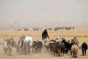 19 وفاة بالحمى النزفية في العراق منذ مطلع 2025