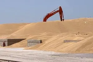 المثنى تعلن انتهاء موسم تسويق الحنطة بإجمالي 195 800 طن