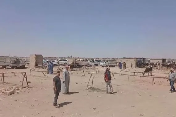 الجفاف وغياب الموسم الزراعي يلحقان أضراراً بتجارة الماشية في روجآفا