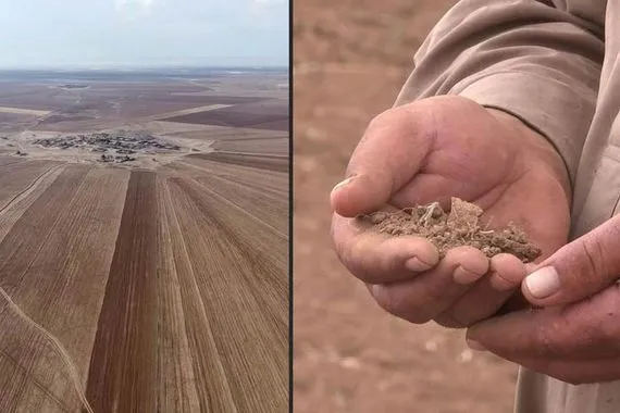 الفاو سوريا تشهد أسوأ موسم زراعي منذ ستين عاماً